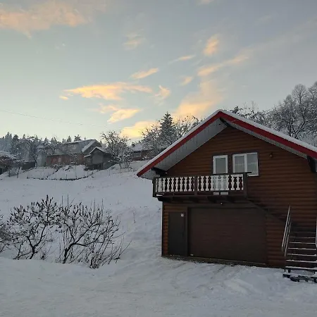 мелодія карпат