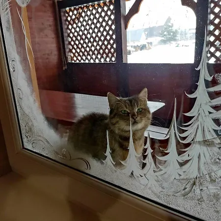 мелодія карпат * Slavske