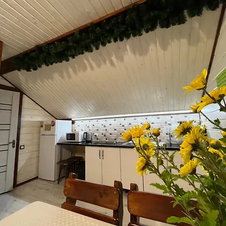 Prázdninový dům мелодія карпат *