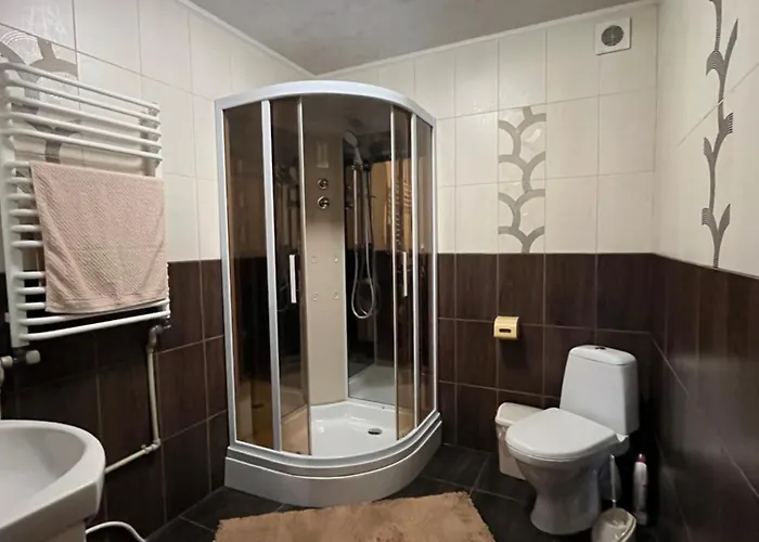 Дом отдыха мелодія карпат